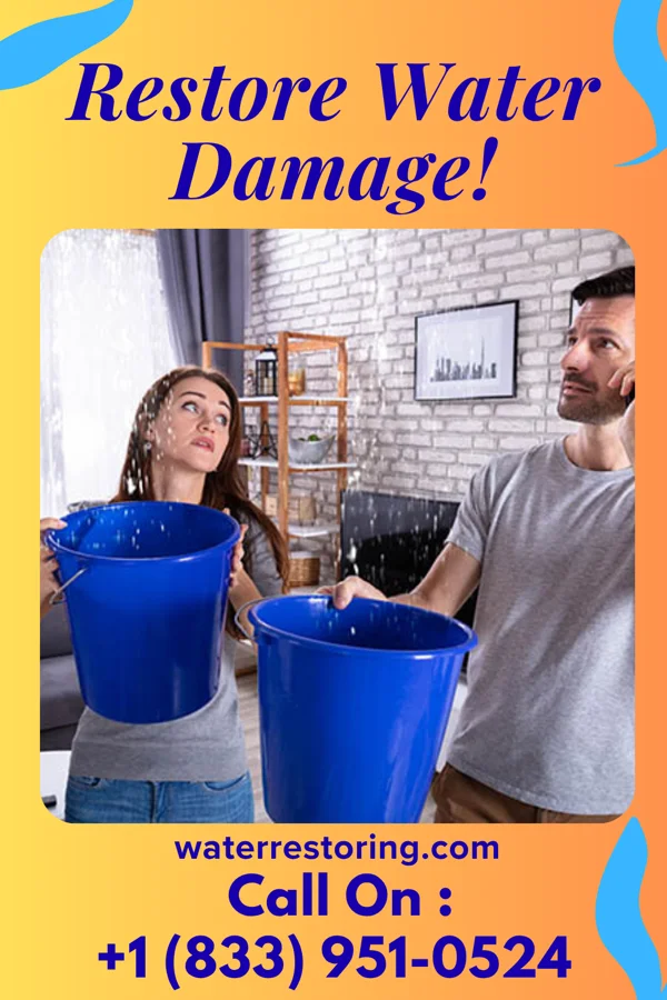 water restoration Eagle Water Restoration Pros Kingstown