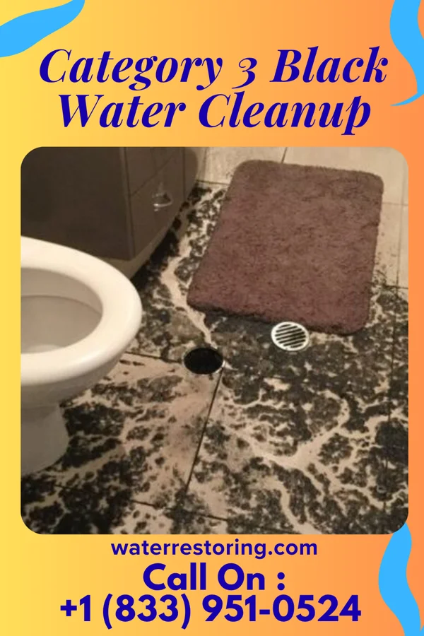Category 3 Black Water Cleanup in Kingstown, MD