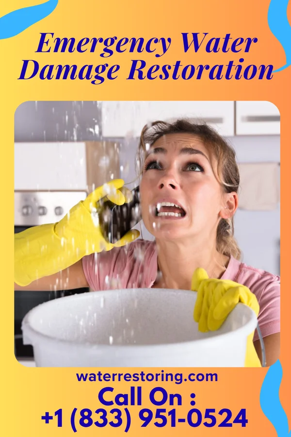 Emergency Water Damage Restoration in Kingstown, MD