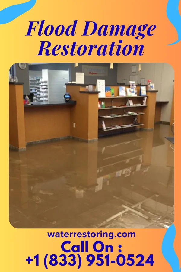 Flood Damage Restoration in Kingstown, MD