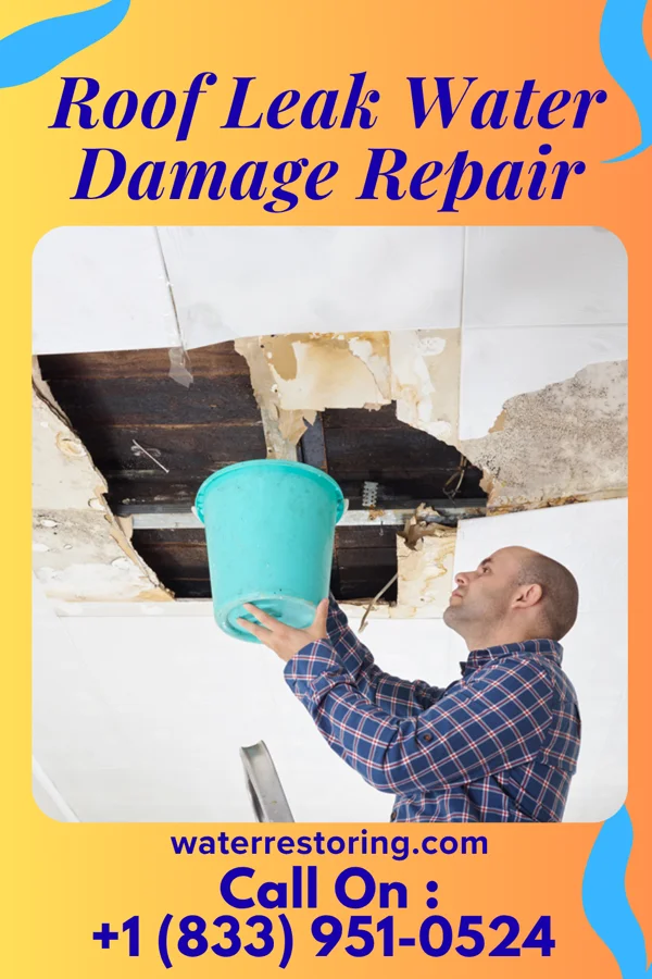 Roof Leak Water Damage Repair in Kingstown, MD