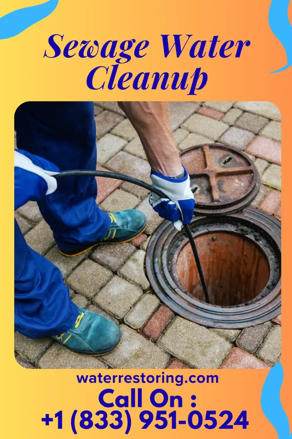 Sewage Water Cleanup in Kingstown, MD
